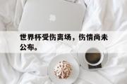 世界杯受伤离场，伤情尚未公布。