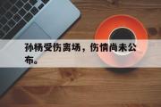 爱游戏手机版登录入口-孙杨受伤离场，伤情尚未公布。