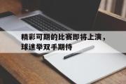 爱游戏网页版-精彩可期的比赛即将上演，球迷举双手期待