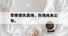 爱游戏手机版登录入口-李娜受伤离场，伤情尚未公布。