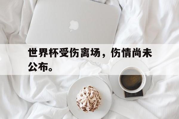 世界杯受伤离场，伤情尚未公布。