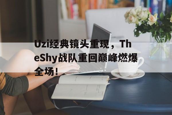Uzi经典镜头重现，TheShy战队重回巅峰燃爆全场！
